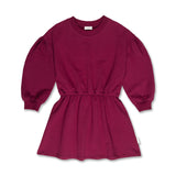 Skater Dress Blush beaujolais - Petit Blush