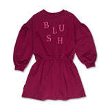 Skater Dress Blush beaujolais - Petit Blush