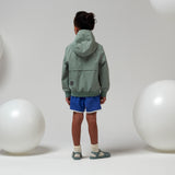 Zomerjas Blue Bird - Gosoaky