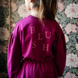Skater Dress Blush beaujolais - Petit Blush